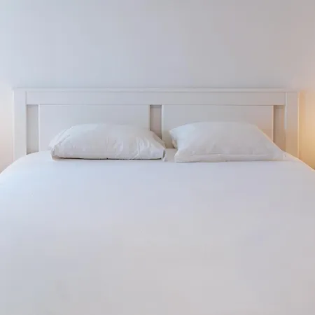 Vau In Alvor, By Mycelia