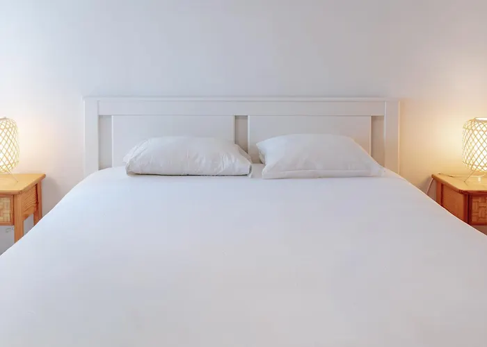 Vau In Alvor, By Mycelia