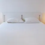 Vau In Alvor, By Mycelia